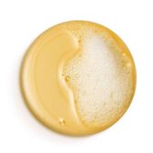 Dercos Anti-Pelicullaire DS Shampooing Gras Wells Image 5