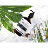 Champô Hidratante Cocô de Madagáscar Wells Image 2