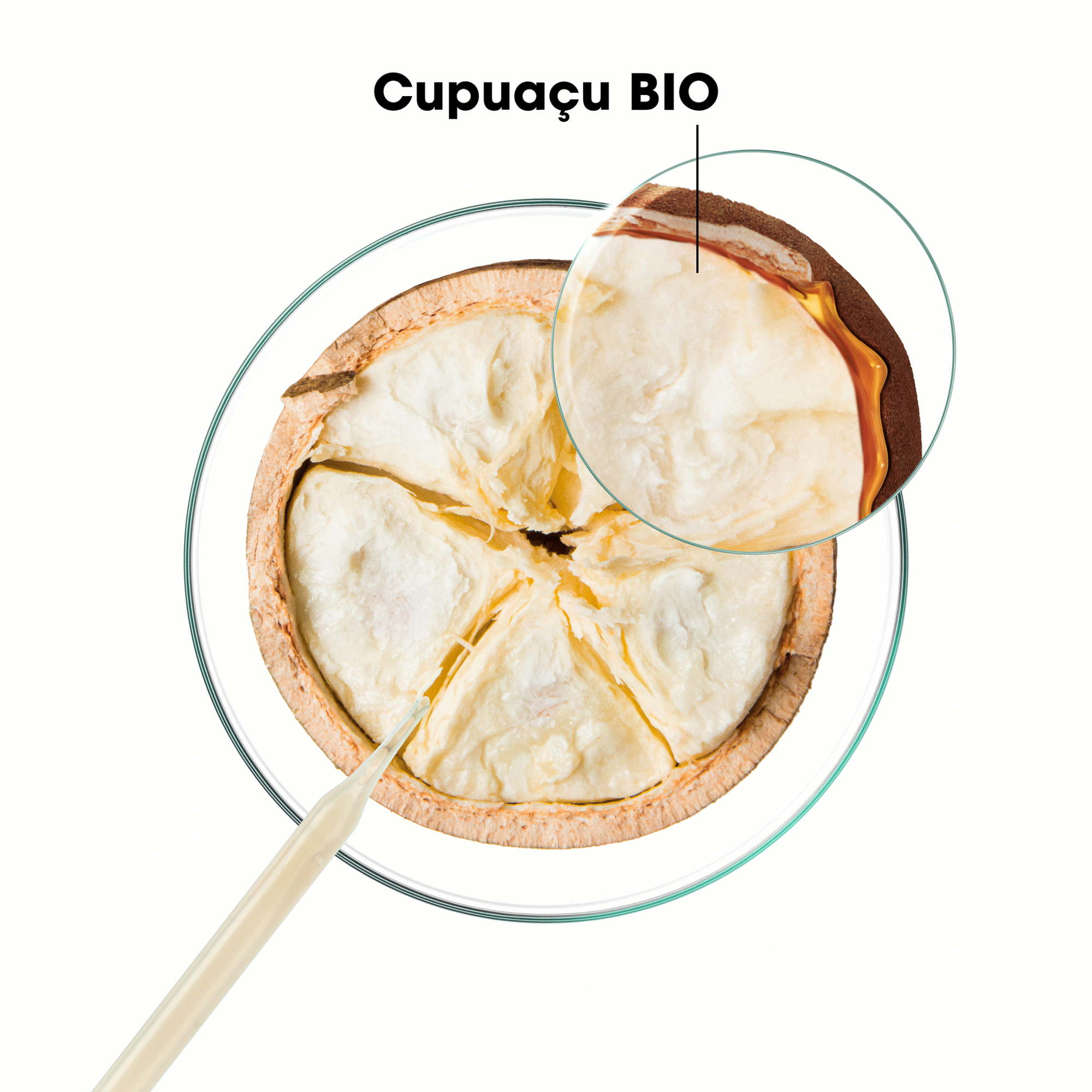 Cupuaçu Repairing CICA-shampoo