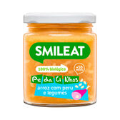 Boião Bio Arroz com Peru e Legumes +10M Wells