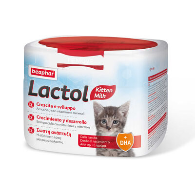 Leite Materno Gatos Recém-Nascidos Lactol