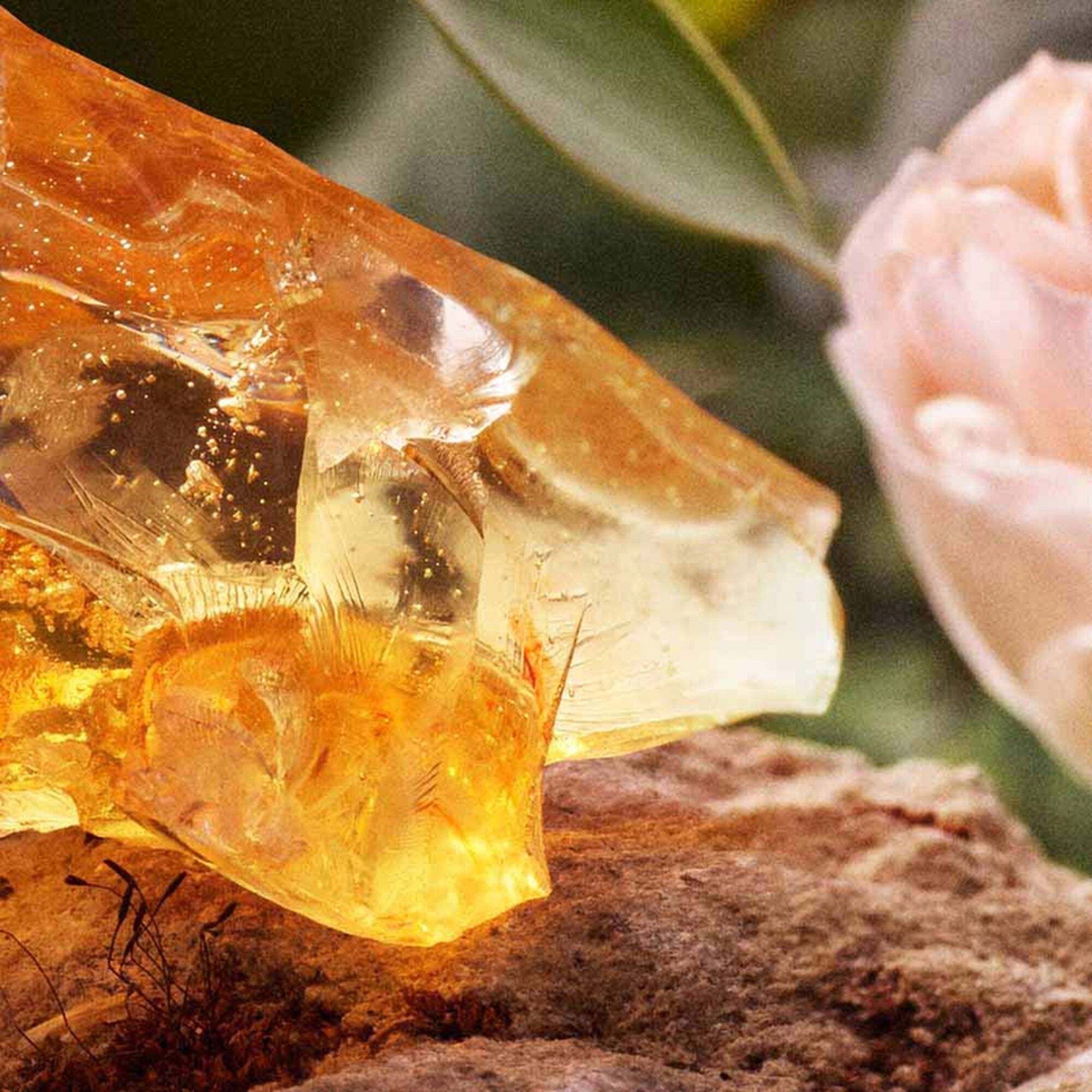 Chloé Signature Eau de Parfum Recarregável