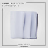 Blond Absolu Fondant Cicaflash 250 ml Wells Image 7