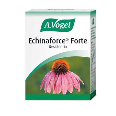Echinaforce Forte Vogel Wells Image 1