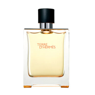 Hermès Terre D'Hermès EDT Wells
