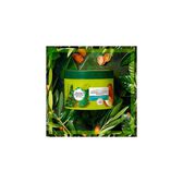 Máscara Capilar Intensiva Repara e Regenera Wells Image 2