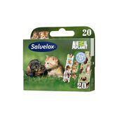 Pensos Rápidos Animals Wells