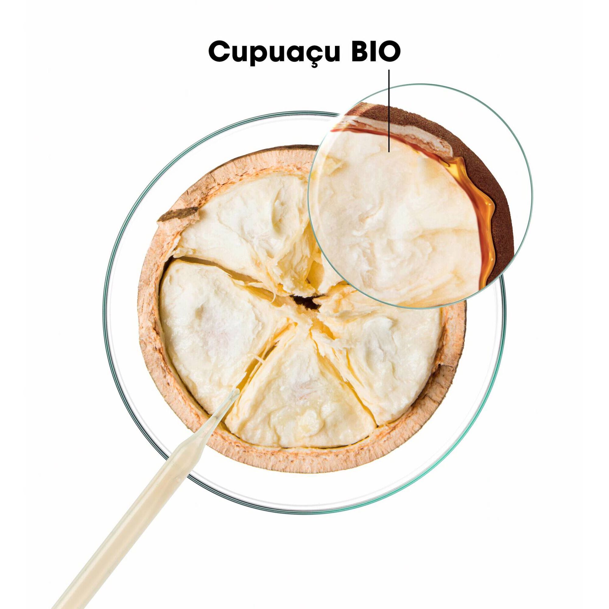 Cupuaçu Repairing Conditioner