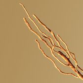 Hugo Boss Bottled EDP Wells Image 23