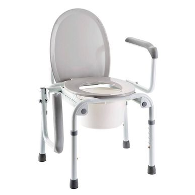 Cadeira Sanitária Izzo Wells Image 1
