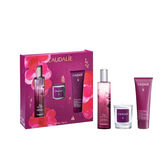 Pack Thé des Vignes Wells Image 2