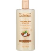 Champô Reparador Délice de Karité Wells