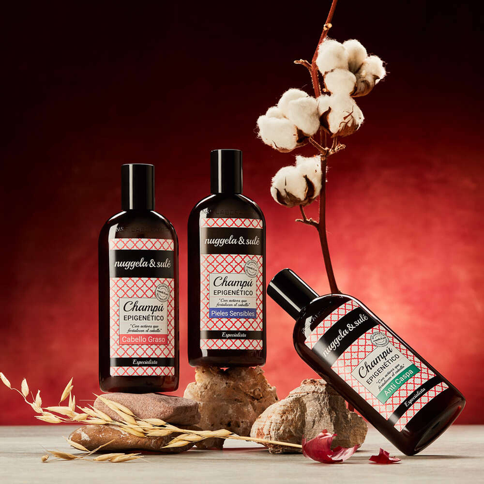 Champô Epigenético Cabelo Oleoso