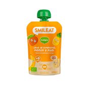 Saqueta Bebida Bio Amêndoa e Manga   +9M Wells