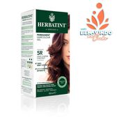 Coloração Cabelo 5R Castanho Claro Acobreado Wells Image 2