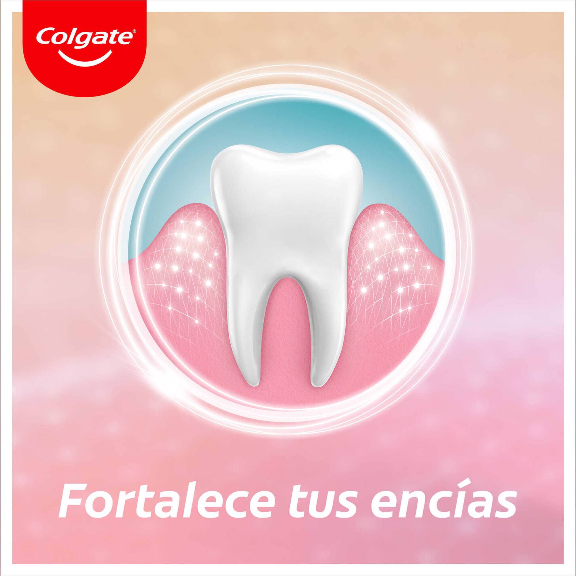 Pasta Dentífrica Revitalizante Gengivas