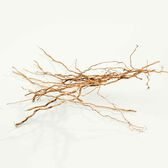 Calvin Klein Everyone EDP Wells Image 6