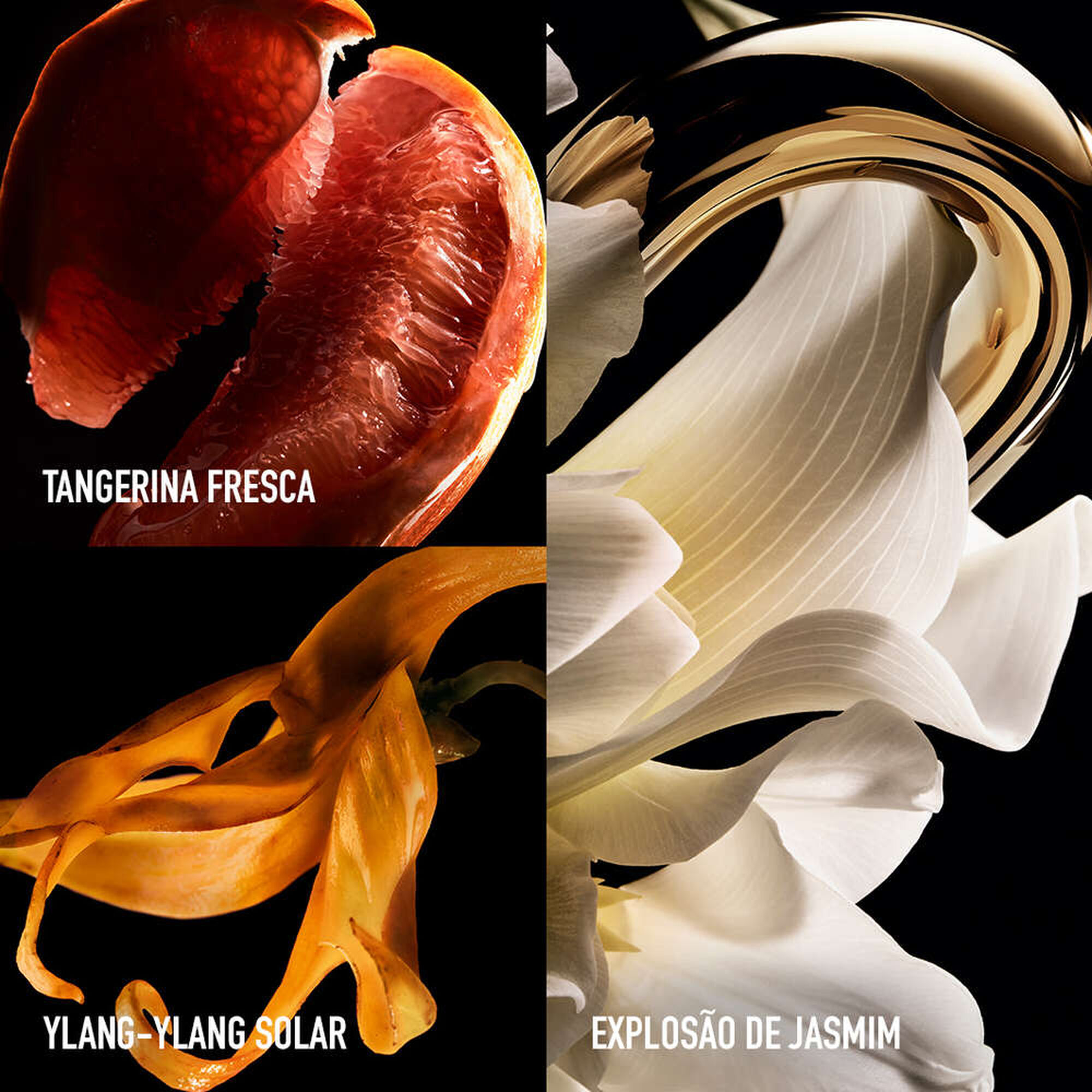 Million Gold for Her Pure Jasmine EDP