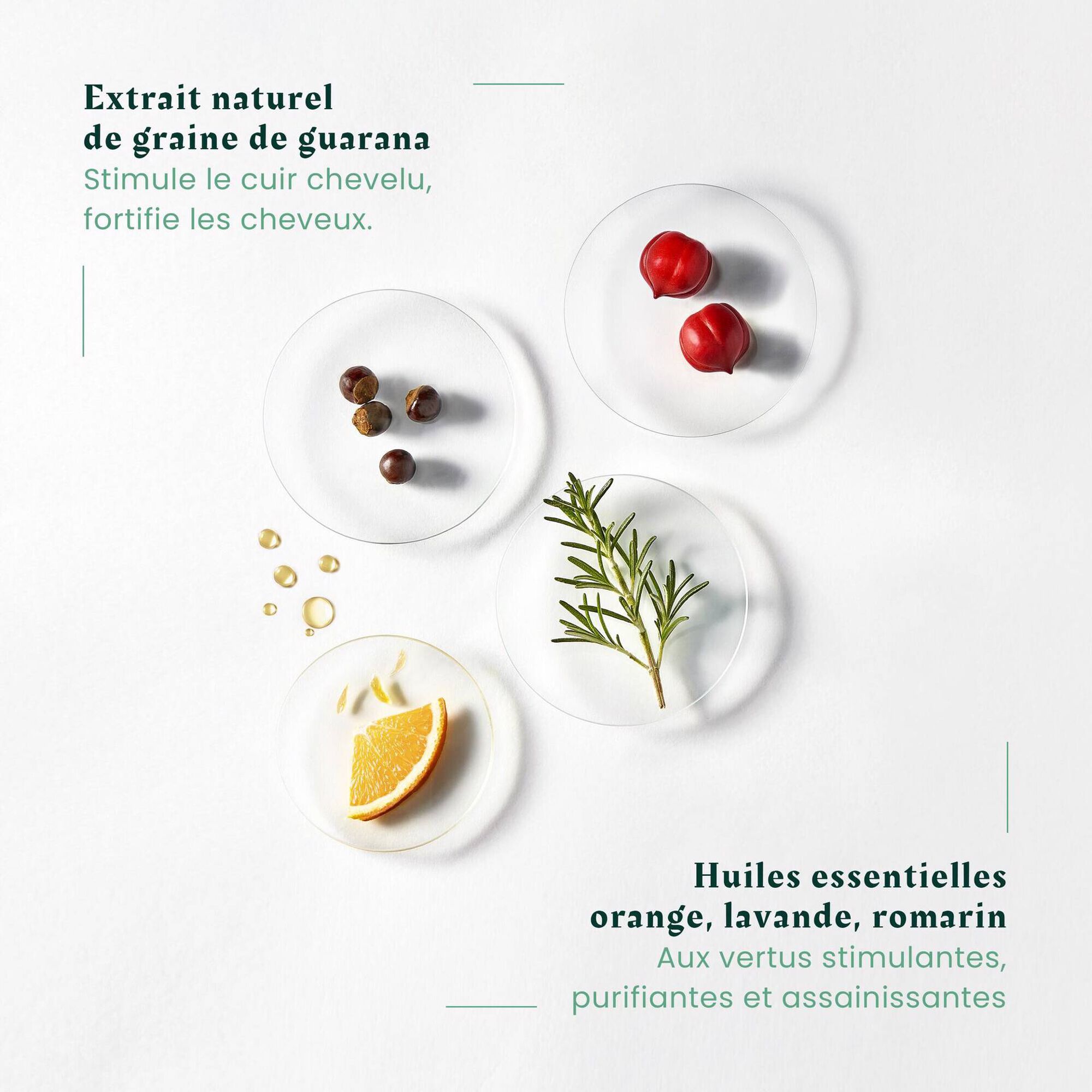 Forticea Strengthening Revitalizing Shampoo