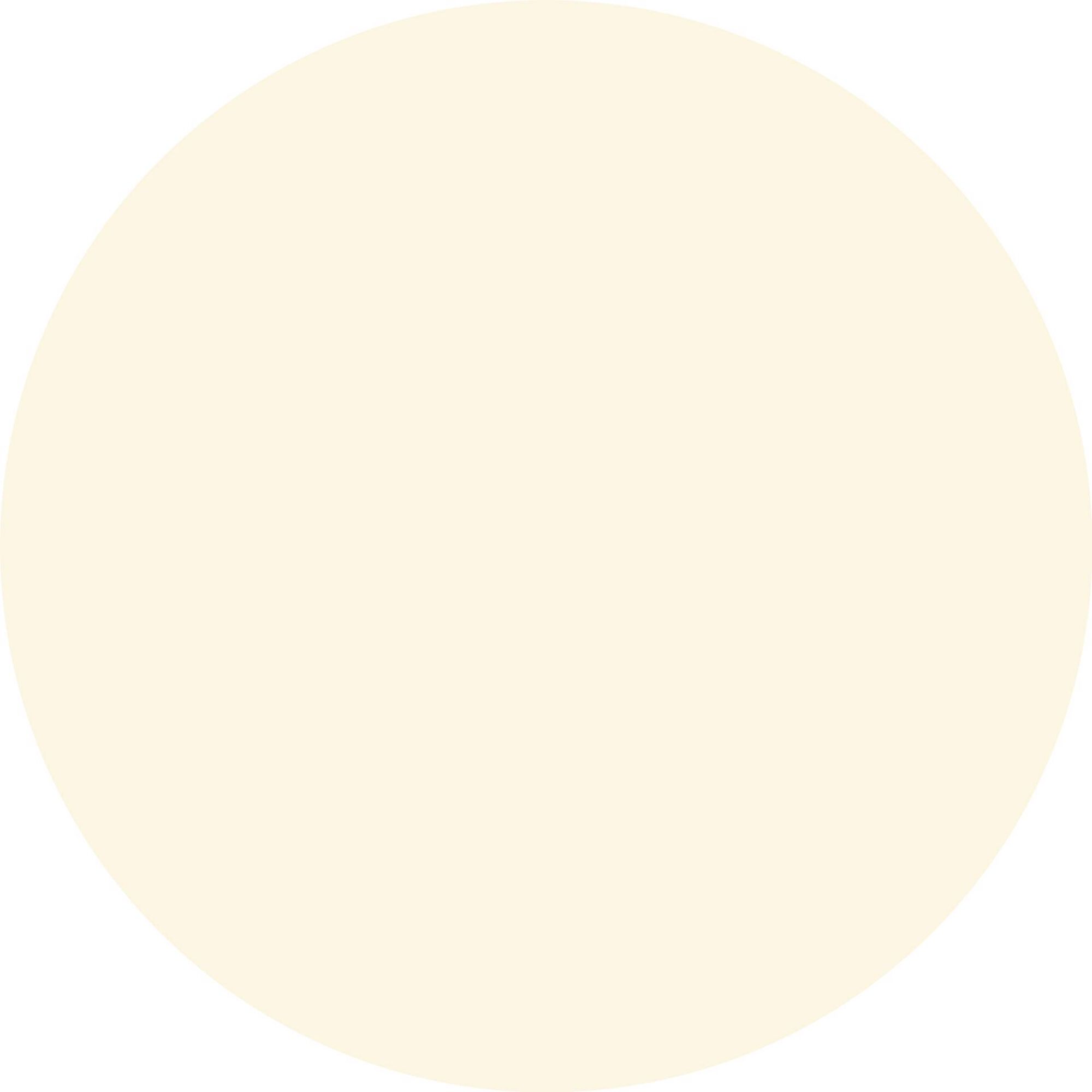 The Protector Hydrate SPF Primer