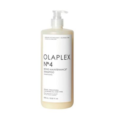 Bonde Maintenance Shampoo nº4 Wells Image 1