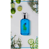 Ralph Lauren Big Pony Blue Eau de Toilette Wells Image 3