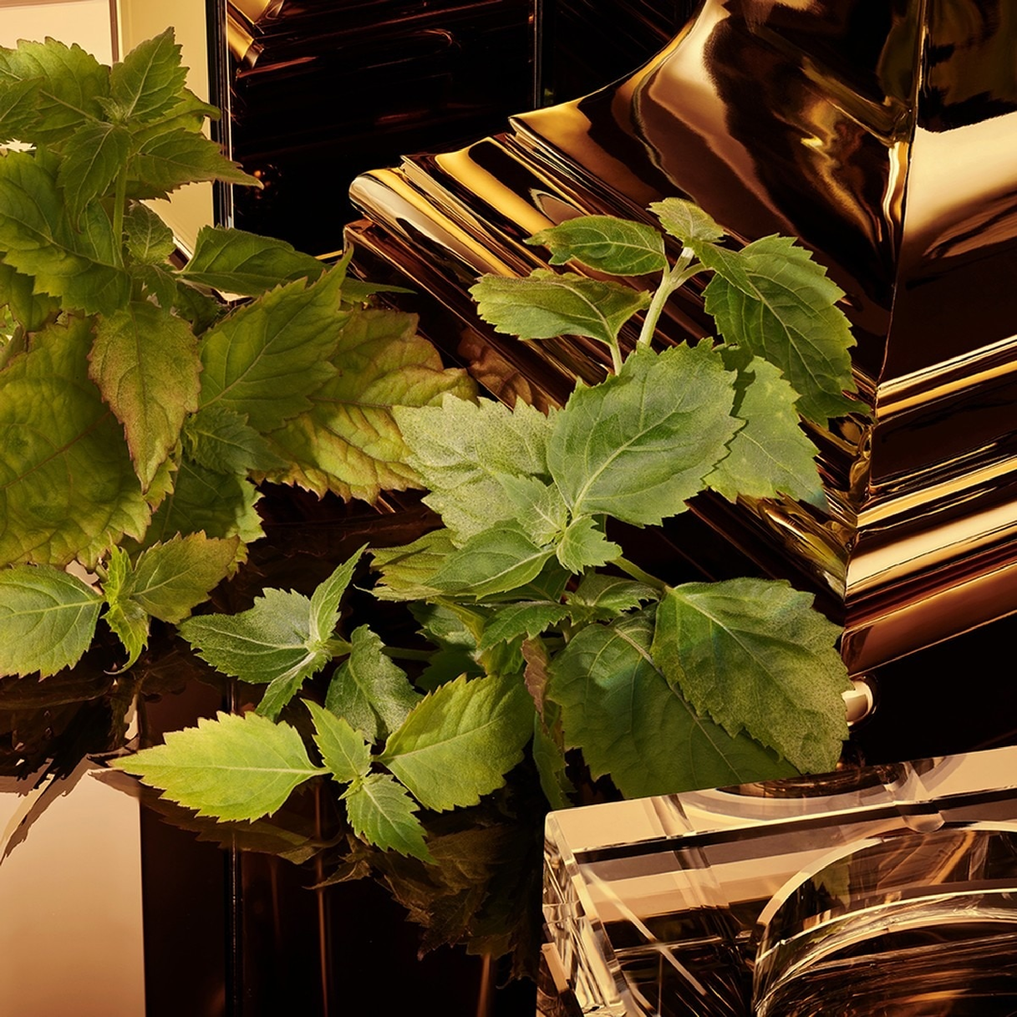 Dolce & Gabbana Gold The One Homme Intense EDP