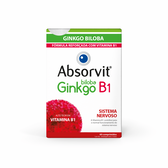 Ginkgo Biloba B1 Sistema Nervoso Wells Image 1