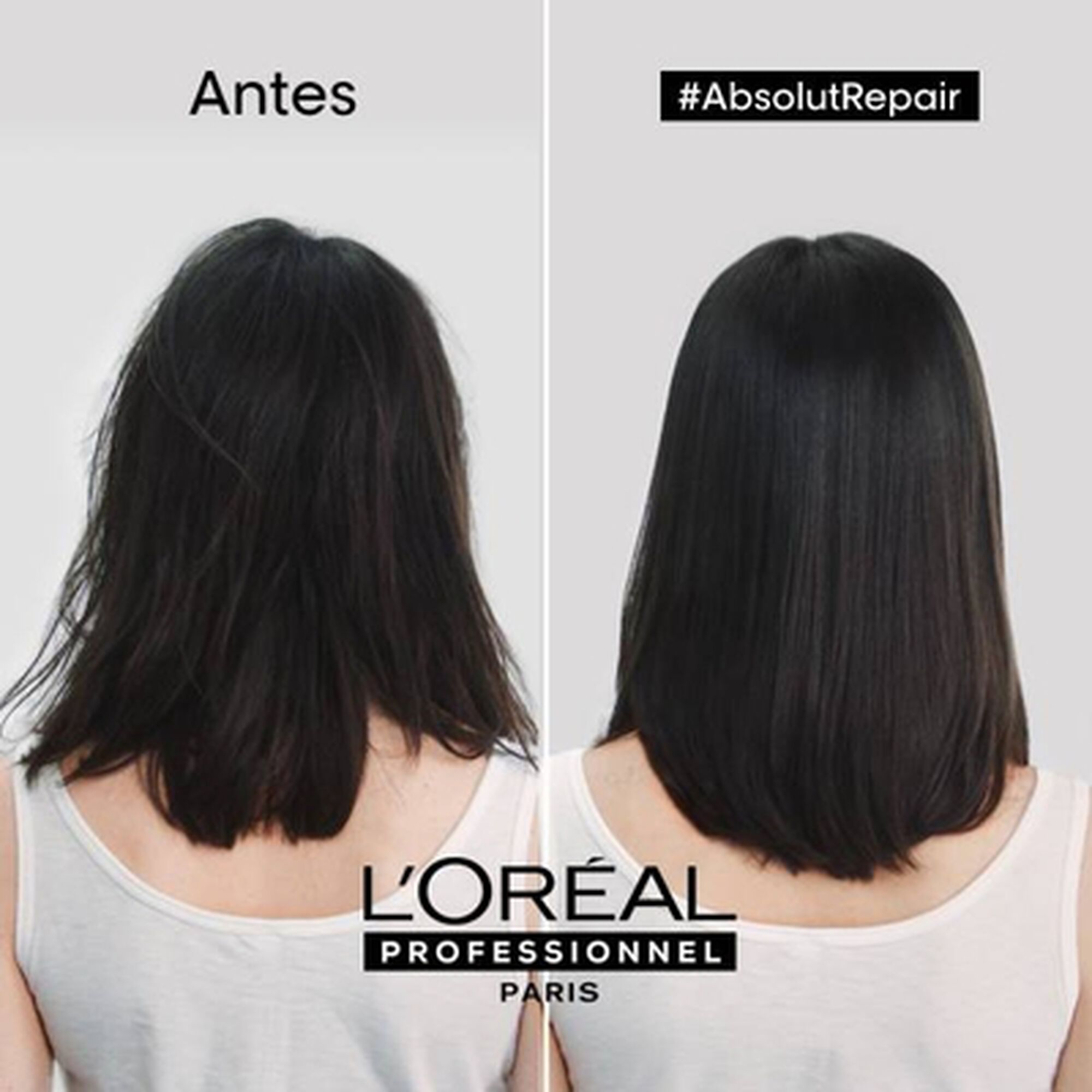 Serie Expert Absolut Repair Huile 10-En-1