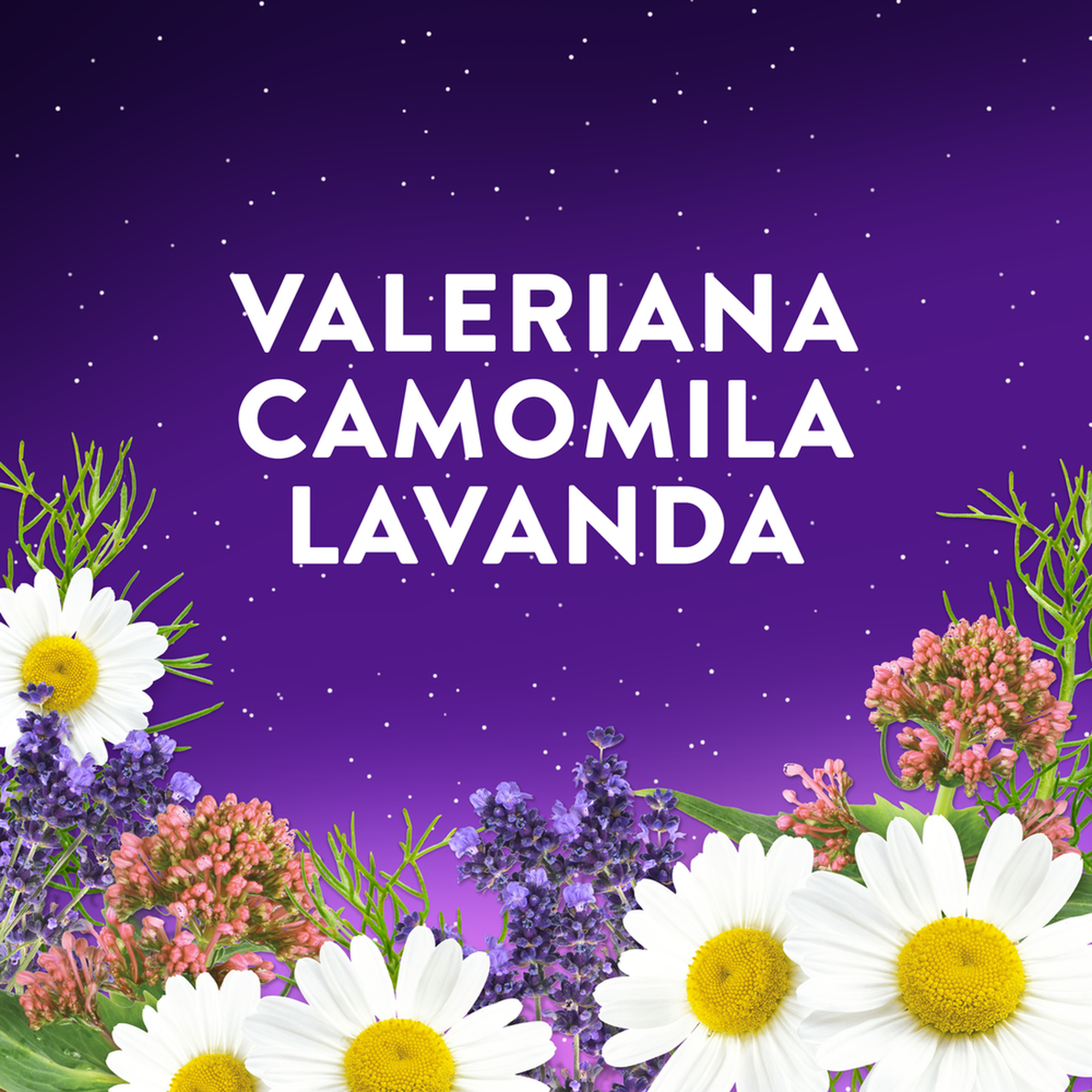 Gomas Melatonina Sono Natura