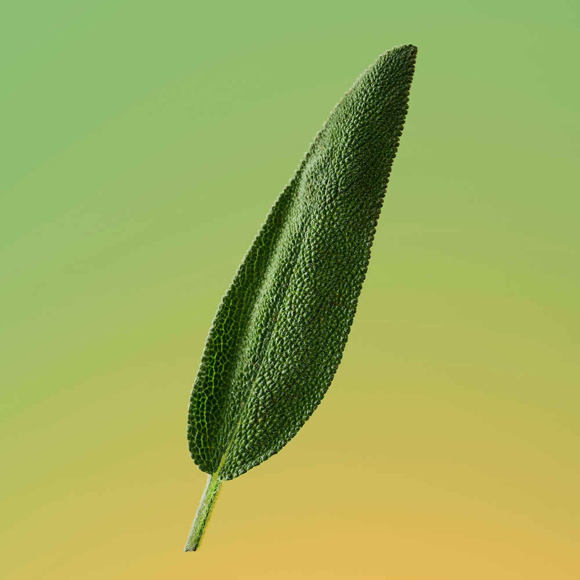 Calvin Klein Eternity For Men EDP