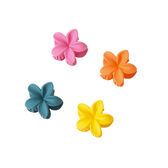 Set de Molas Flor para Cabelo Wells Image 5