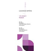 Óleo Essencial Alfazema Wells Image 3