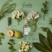 Hoss Intropia Gadea Eau de Parfum Wells Image 4