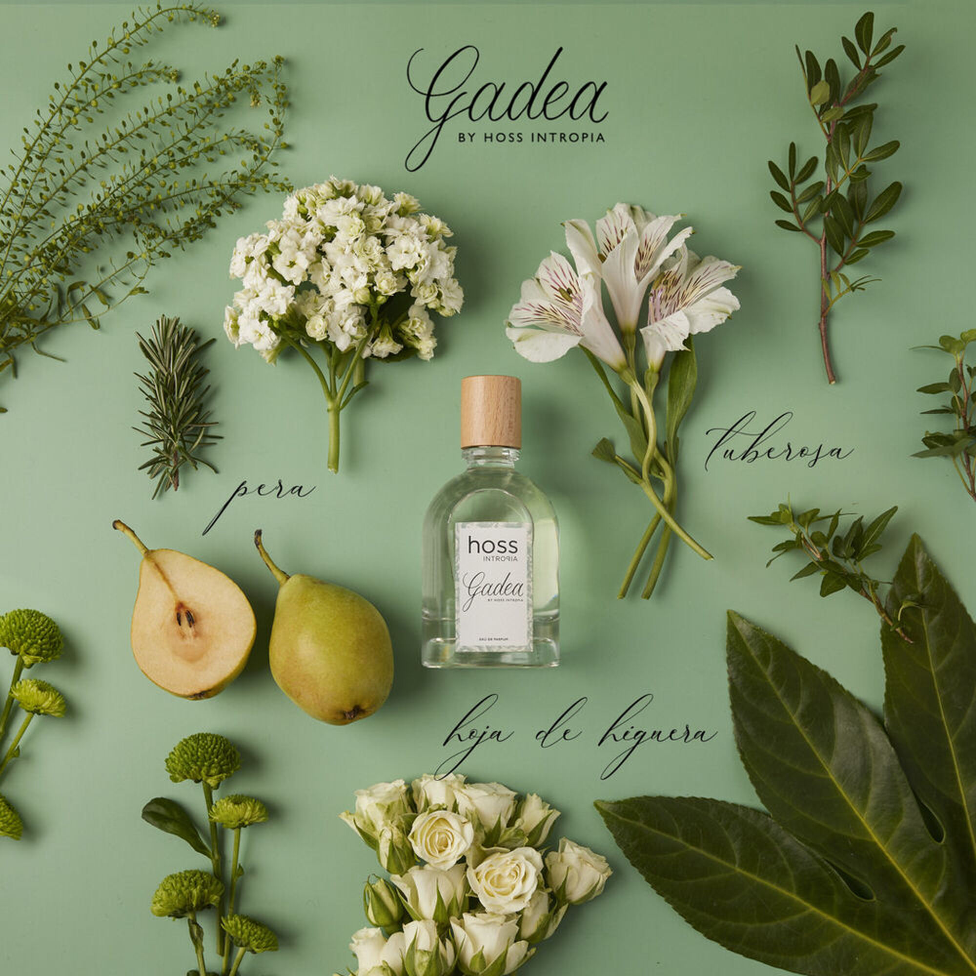 Hoss Intropia Gadea Eau de Parfum