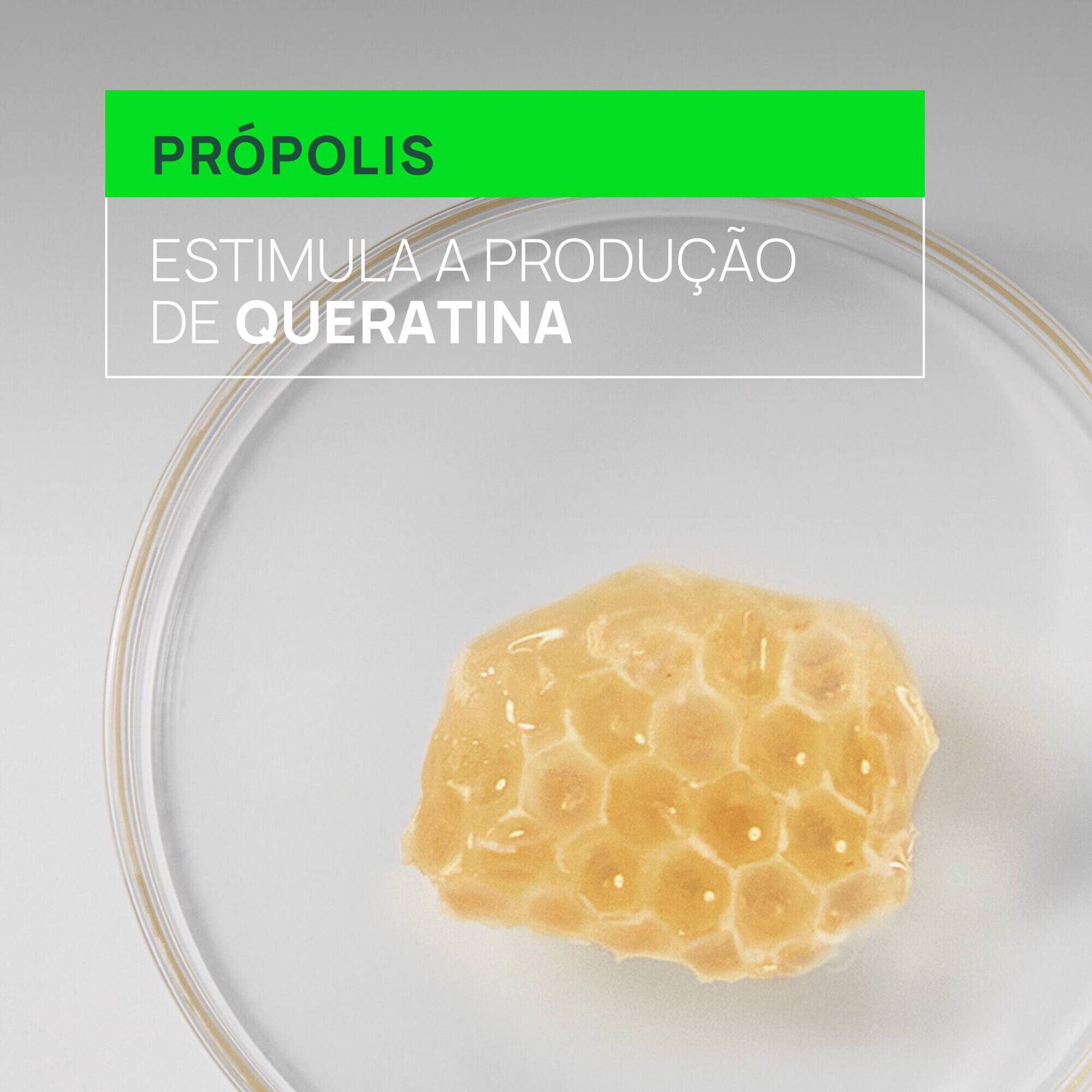 Triphasic Reactional Cuidado 2 em 1 Antiqueda