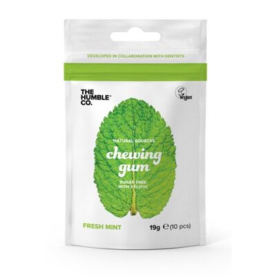 Pastilhas Sem Açúcar Menta 19gr