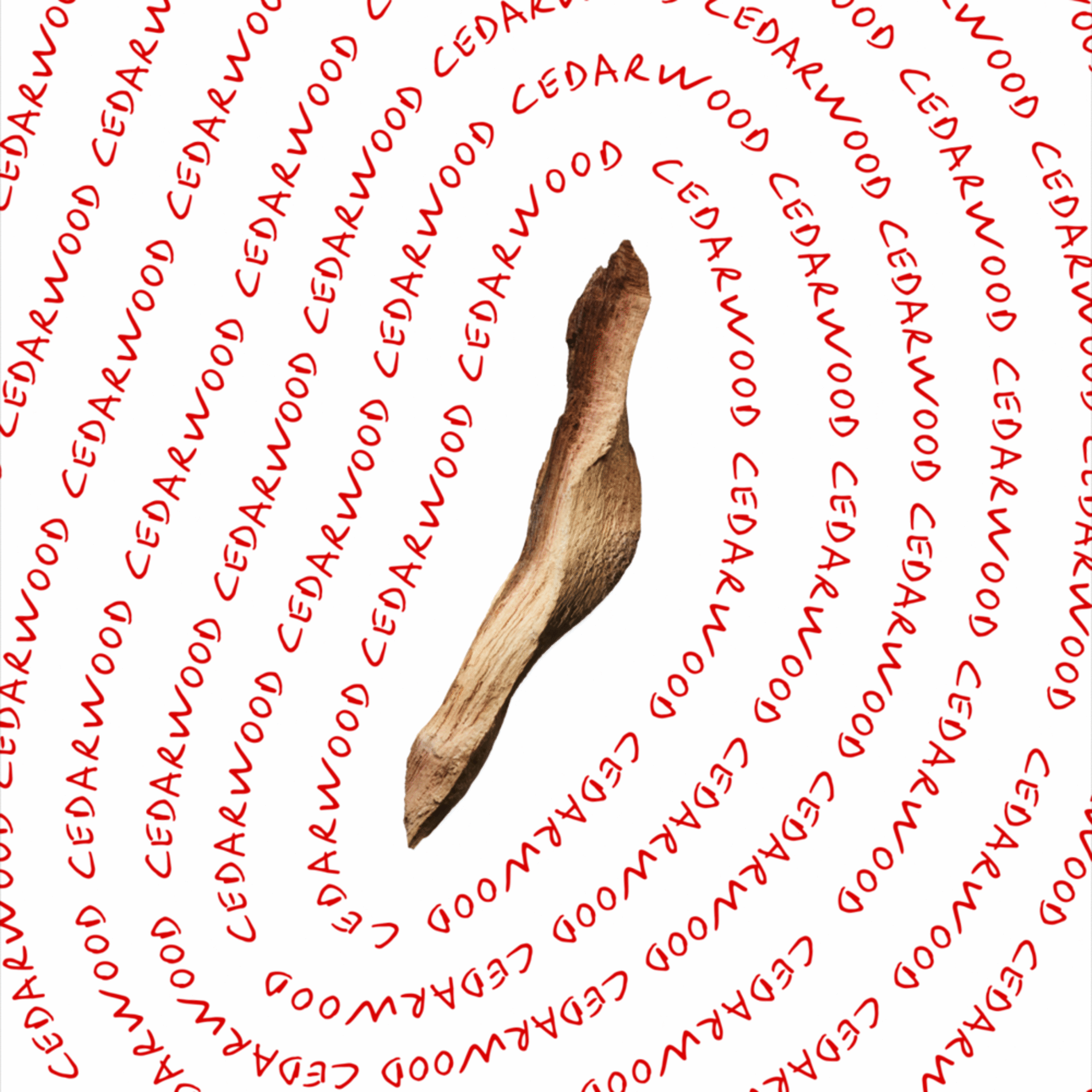 Calvin Klein Everyone EDT