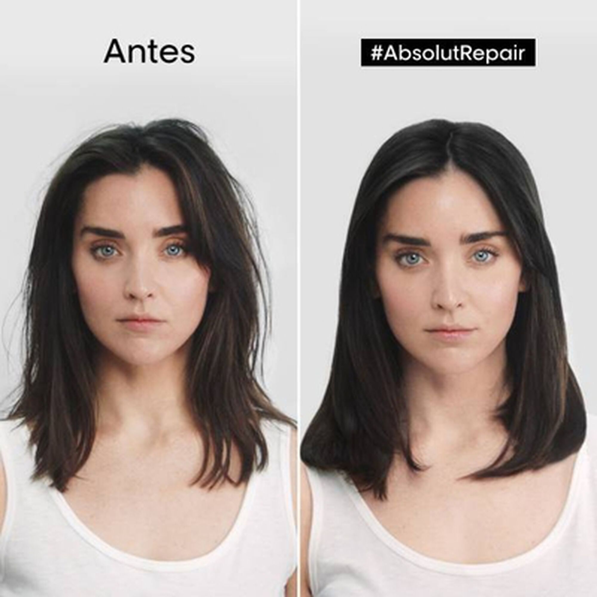 Serie Expert Absolut Repair Huile 10-En-1