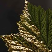 Hugo Boss Hugo Intense Eau de Parfum Wells Image 4