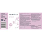 Suplemento Equinácea Sistema Imunitário Wells Image 2