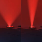 Breathing Light Emmy The Elephant Wells Image 3