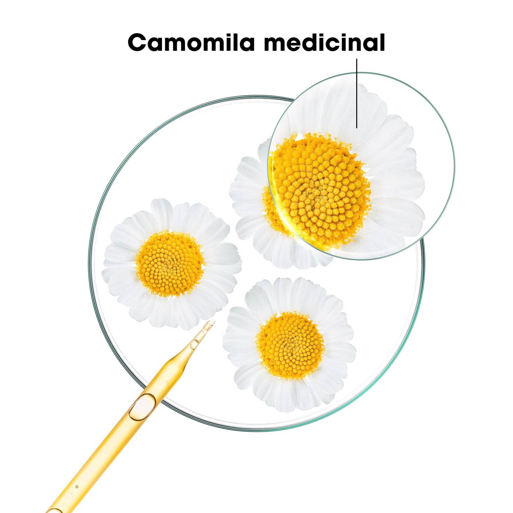 Chamomile Brightening Blond Hair Shampoo