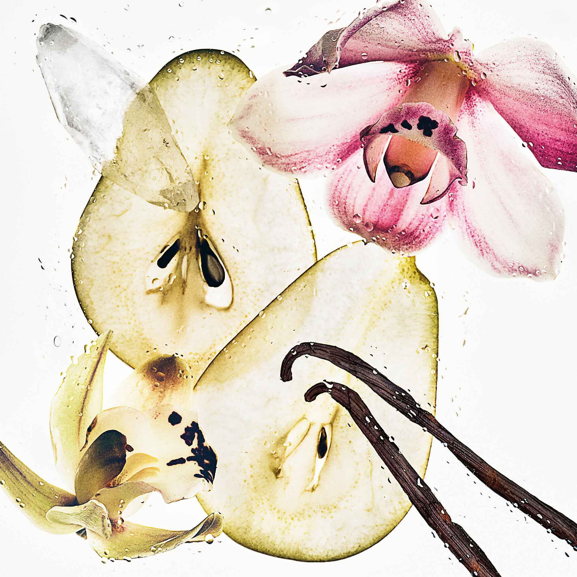 Calvin Klein CK Nude Vanilla Mist