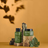Benvoleo Recovery Shampoo Wells Image 6