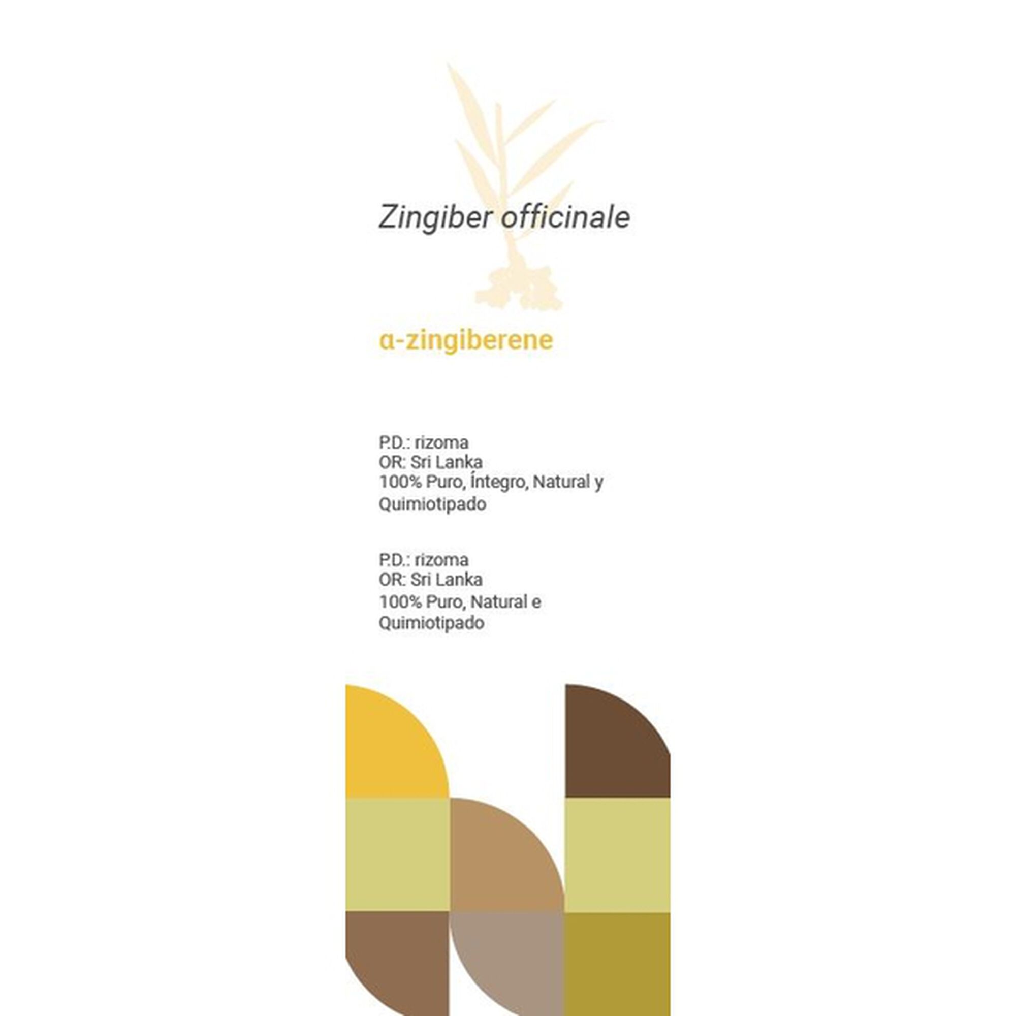 Óleo Essencial Gengibre