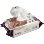 Wet Wipes No Perfume Color Wells Image 2