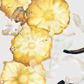 Calvin Klein CK Silky Coconut Mist Wells Image 2