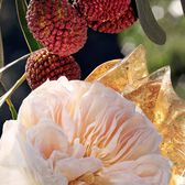 Chloé Signature Eau de Parfum Recarga Wells Image 10