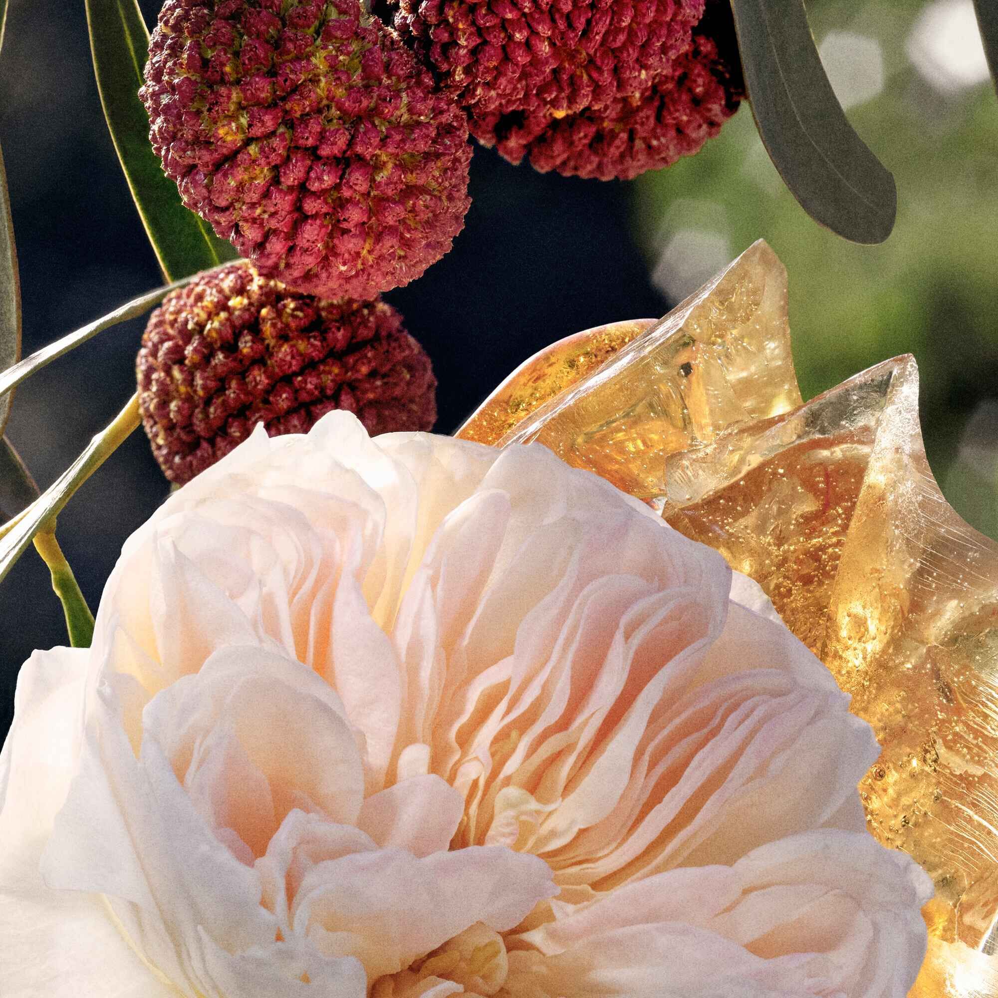 Chloé Signature Eau de Parfum Recarga